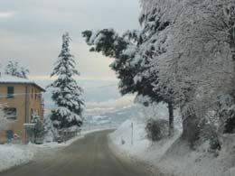 foto nevicata del 21 Febbraio 2005 2